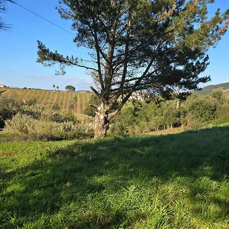 Quinta Nova Apartamento *